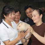 Nuôi dúi má đào Thái Lan – hướng chăn nuôi đặc sản cho thu nhập hàng trăm triệu đồng mỗi năm