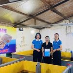 Bỏ phố về quê, người phụ nữ Cẩm Bình thành công với mô hình nuôi lươn không bùn