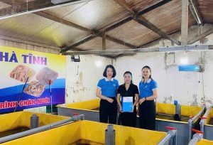 Bỏ phố về quê, người phụ nữ Cẩm Bình thành công với mô hình nuôi lươn không bùn