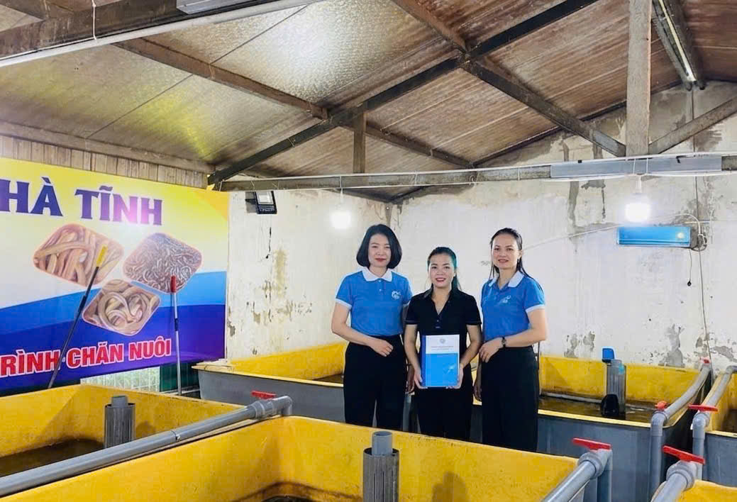 Bỏ phố về quê, người phụ nữ Cẩm Bình thành công với mô hình nuôi lươn không bùn