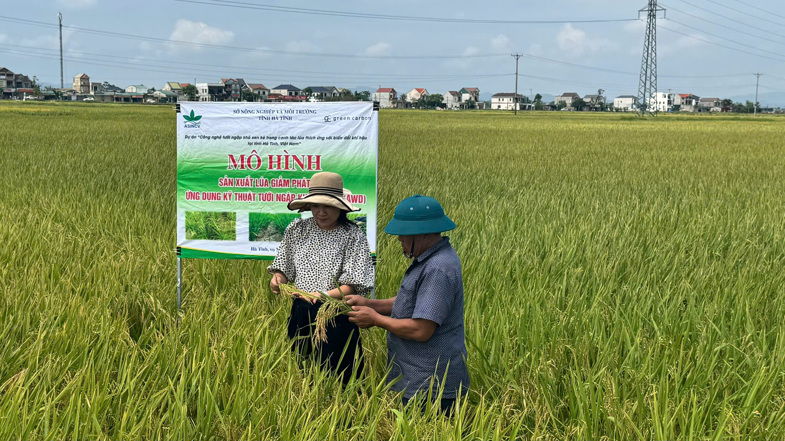 Canh tác lúa giảm phát thải mở hướng sản xuất bền vững