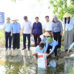 Trung tâm Khuyến nông Hà Tĩnh tổ chức thả giống mô hình  nuôi tôm càng xanh đạt tiêu chuẩn VietGAP