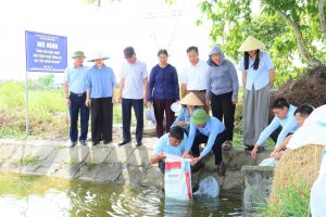 Trung tâm Khuyến nông Hà Tĩnh tổ chức thả giống mô hình  nuôi tôm càng xanh đạt tiêu chuẩn VietGAP