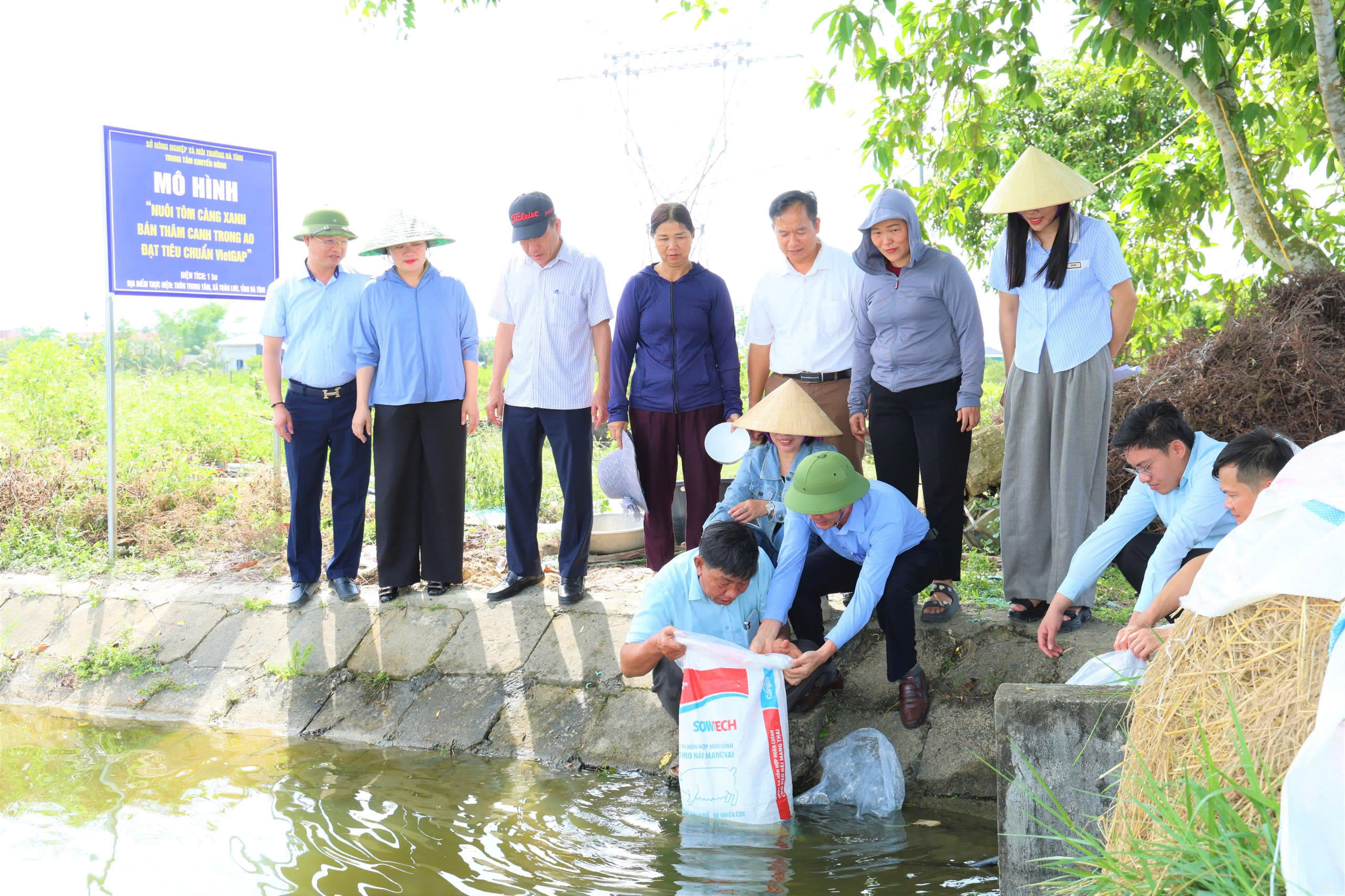 Trung tâm Khuyến nông Hà Tĩnh tổ chức thả giống mô hình  nuôi tôm càng xanh đạt tiêu chuẩn VietGAP