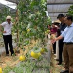 Đoàn cán bộ, nông dân xã Triệu Phong, tỉnh Quảng Trị tham quan, học tập các mô hình nông nghiệp tiêu biểu tại Hà Tĩnh