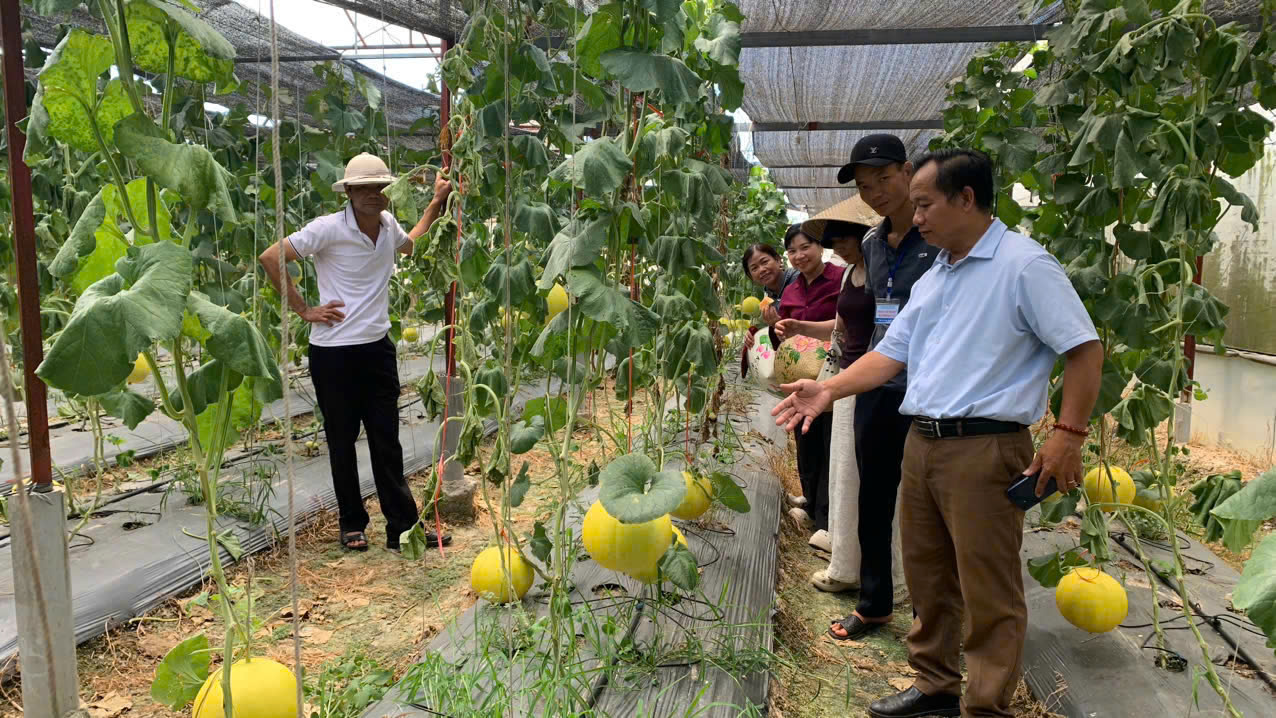 Đoàn cán bộ, nông dân xã Triệu Phong, tỉnh Quảng Trị tham quan, học tập các mô hình nông nghiệp tiêu biểu tại Hà Tĩnh