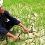 MỘT SỐ VẤN ĐỀ CƠ BẢN TRONG PHÁT TRIỂN BỀN VỮNG KINH TẾ NÔNG NGHIỆP CỦA HÀ TĨNH