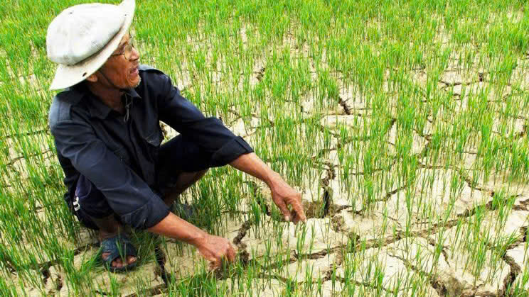 MỘT SỐ VẤN ĐỀ CƠ BẢN TRONG PHÁT TRIỂN BỀN VỮNG KINH TẾ NÔNG NGHIỆP CỦA HÀ TĨNH