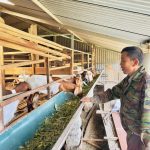 Vươn lên làm giàu từ mô hình chăn nuôi tổng hợp