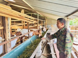 Vươn lên làm giàu từ mô hình chăn nuôi tổng hợp