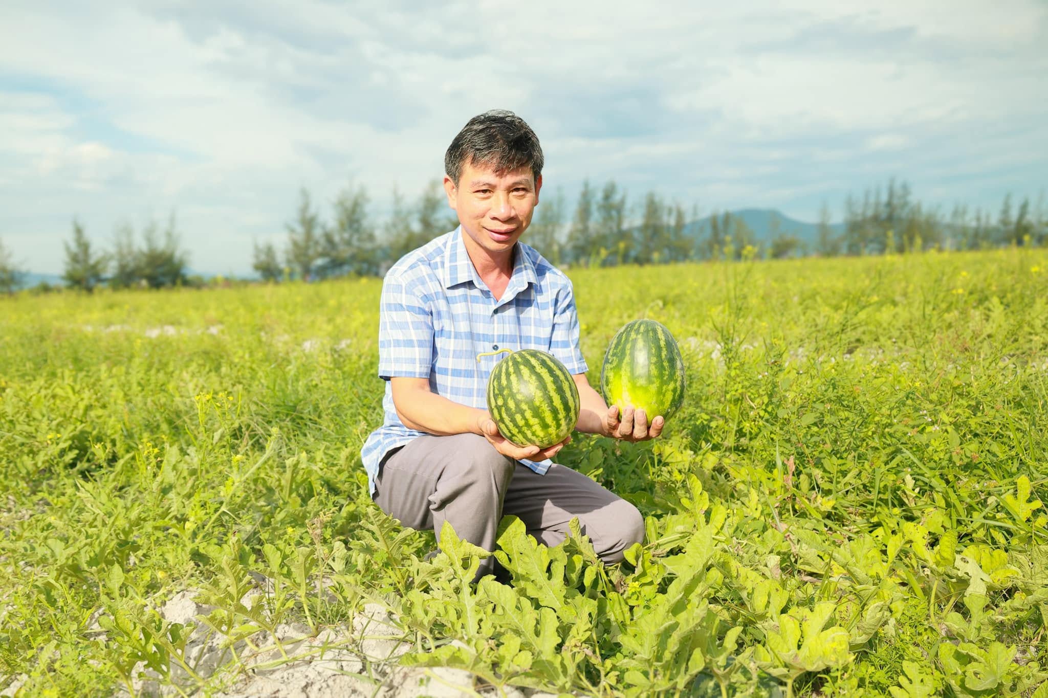 Biến vùng cát trắng ven biển thành trang trại rau màu cho thu nhập hàng trăm triệu đồng mỗi năm