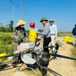 Từ mạ khay, cấy máy đến thiết bị bay không người lái: Dấu ấn đổi mới trong sản xuất lúa hè thu
