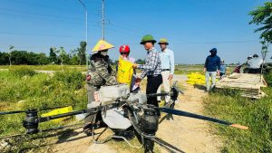 Từ mạ khay, cấy máy đến thiết bị bay không người lái: Dấu ấn đổi mới trong sản xuất lúa hè thu