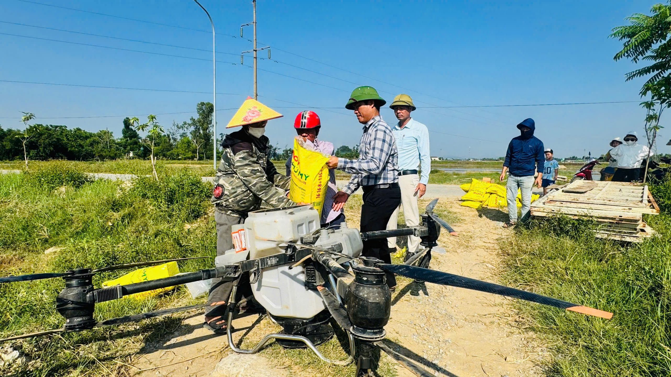 Từ mạ khay, cấy máy đến thiết bị bay không người lái: Dấu ấn đổi mới trong sản xuất lúa hè thu