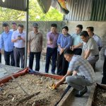 Trung tâm Khuyến nông phối hợp tham quan, học hỏi kinh nghiệm mô hình nuôi sâu Canxi tại xã Cẩm Bình