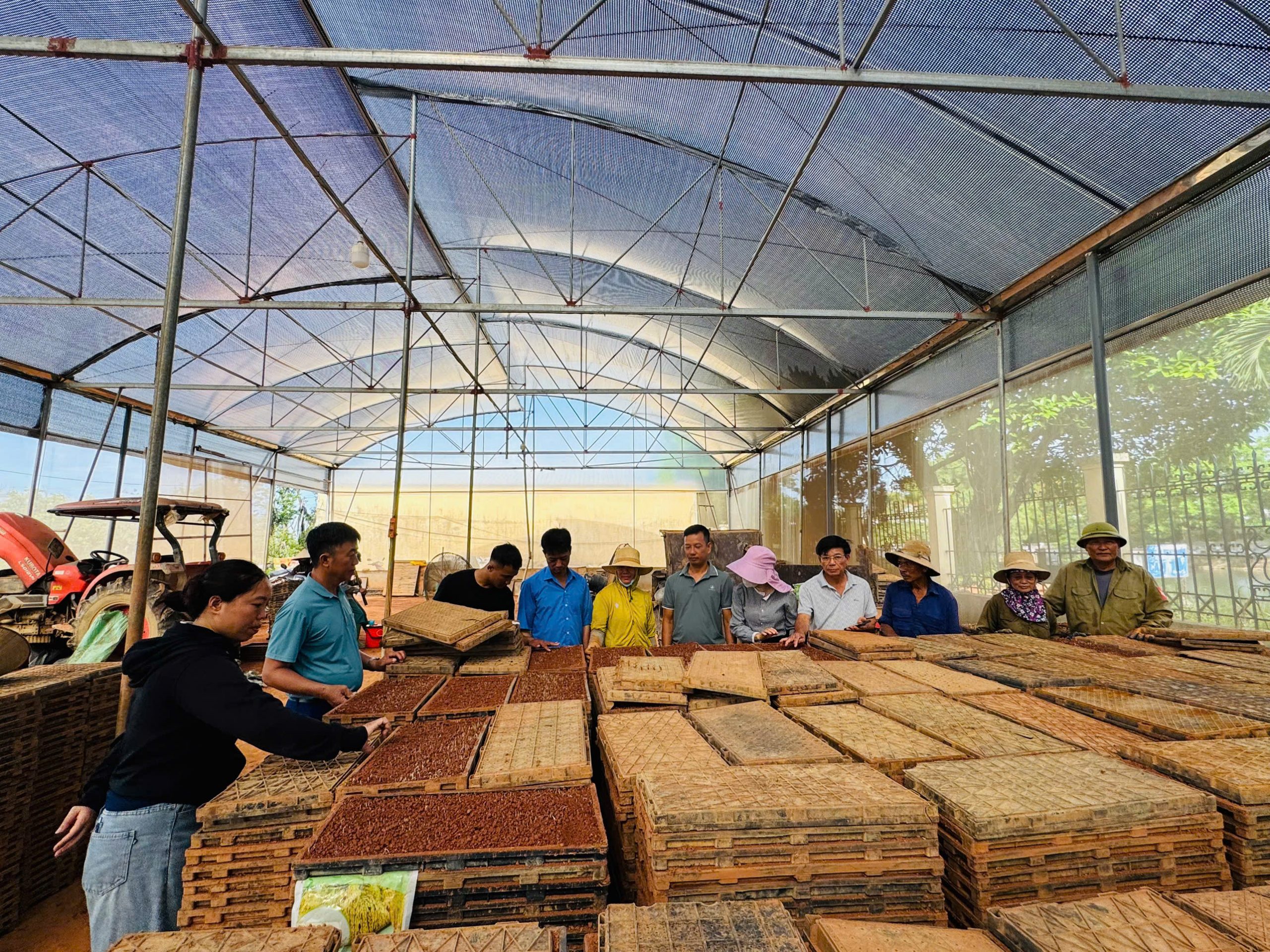 Từ thực tiễn sản xuất mạ khay tại Hưng Yên đến những gợi mở cho cơ giới hóa sản xuất lúa ở Hà Tĩnh