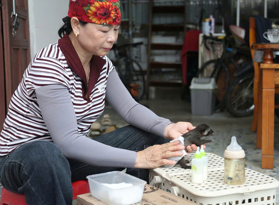Nuôi “đồ rừng” trên vùng biển