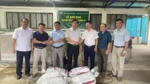 Nghệ An bàn giao 6 cặp cá chép bố mẹ chọn giống V1 cho Hà Tĩnh