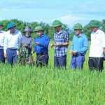 Ngành Nông nghiệp Hà Tĩnh phấn đấu thực hiện các giải pháp  thúc đẩy tăng trưởng “hai con số” trong 6 tháng đầu năm 2026