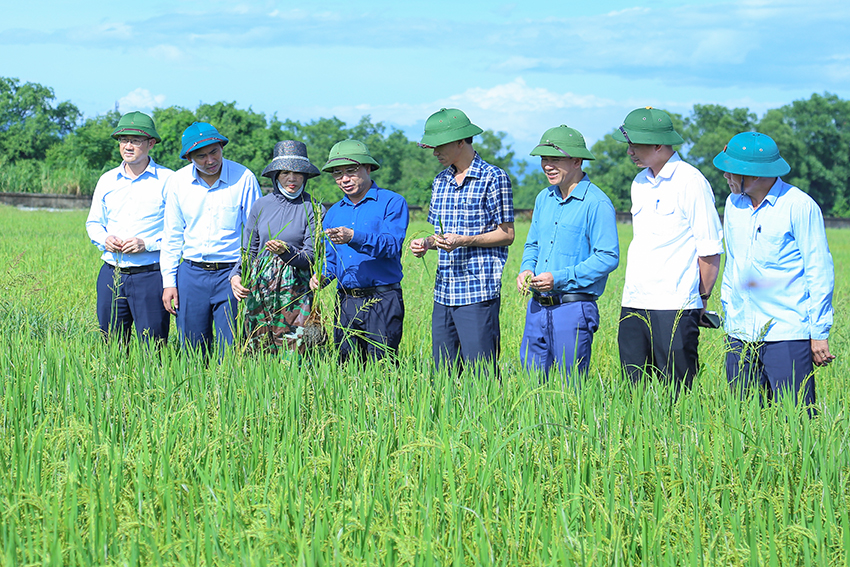 Ngành Nông nghiệp Hà Tĩnh phấn đấu thực hiện các giải pháp  thúc đẩy tăng trưởng “hai con số” trong 6 tháng đầu năm 2026