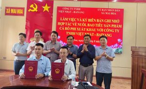 Xã Mai Hoa: Khảo sát thực địa và triển khai phương án liên kết nuôi cá Rô phi xuất khẩu với Công ty TNHH Việt Nhật – BaiYang