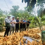 Lãnh đạo Trung tâm Khuyến nông Hà Tĩnh kiểm tra, đánh giá các mô hình khuyến nông năm 2026