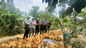 Lãnh đạo Trung tâm Khuyến nông Hà Tĩnh kiểm tra, đánh giá các mô hình khuyến nông năm 2026