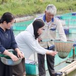 Cá chạch “lên bè”, mở hướng làm ăn mới ở Cẩm Bình
