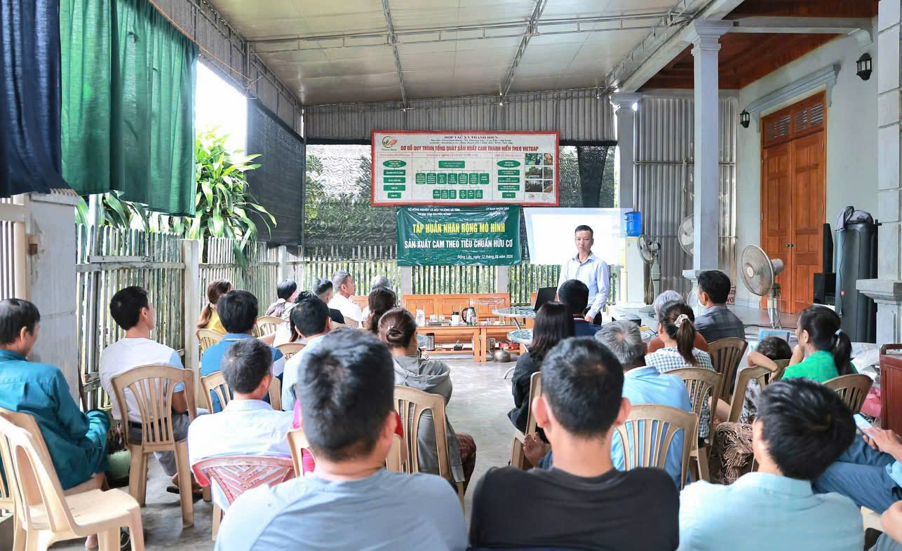 Tập huấn nhân rộng mô hình sản xuất cam theo tiêu chuẩn hữu cơ