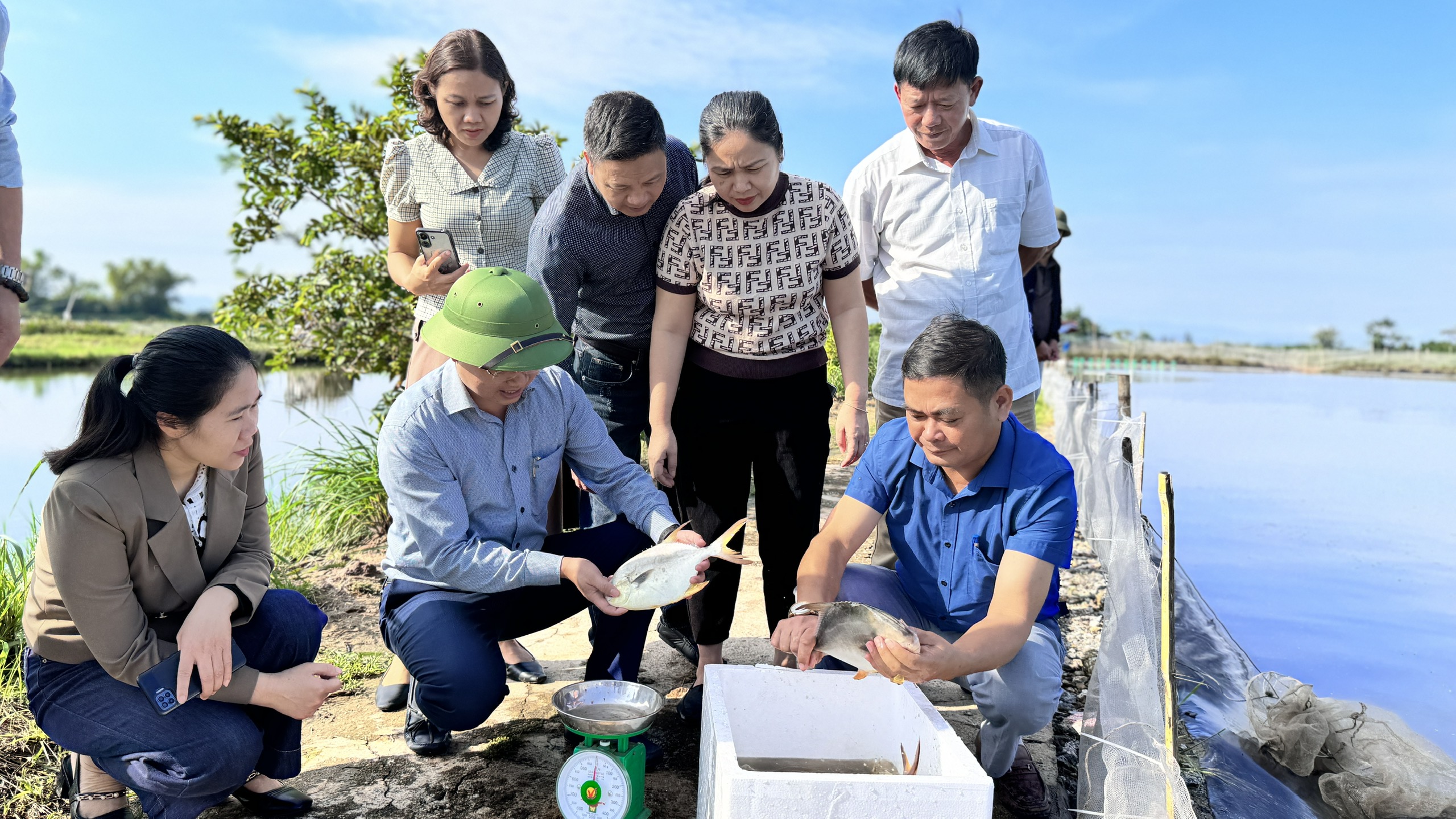 Nhân rộng mô hình nuôi cá chim vây vàng ở Hà Tĩnh