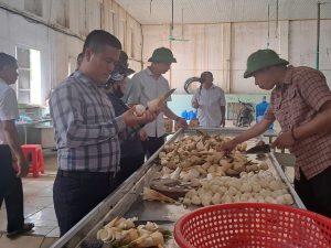 Nghiên cứu, đánh giá tiềm năng để phát triển Măng Lục trúc trên đất Hà Tĩnh