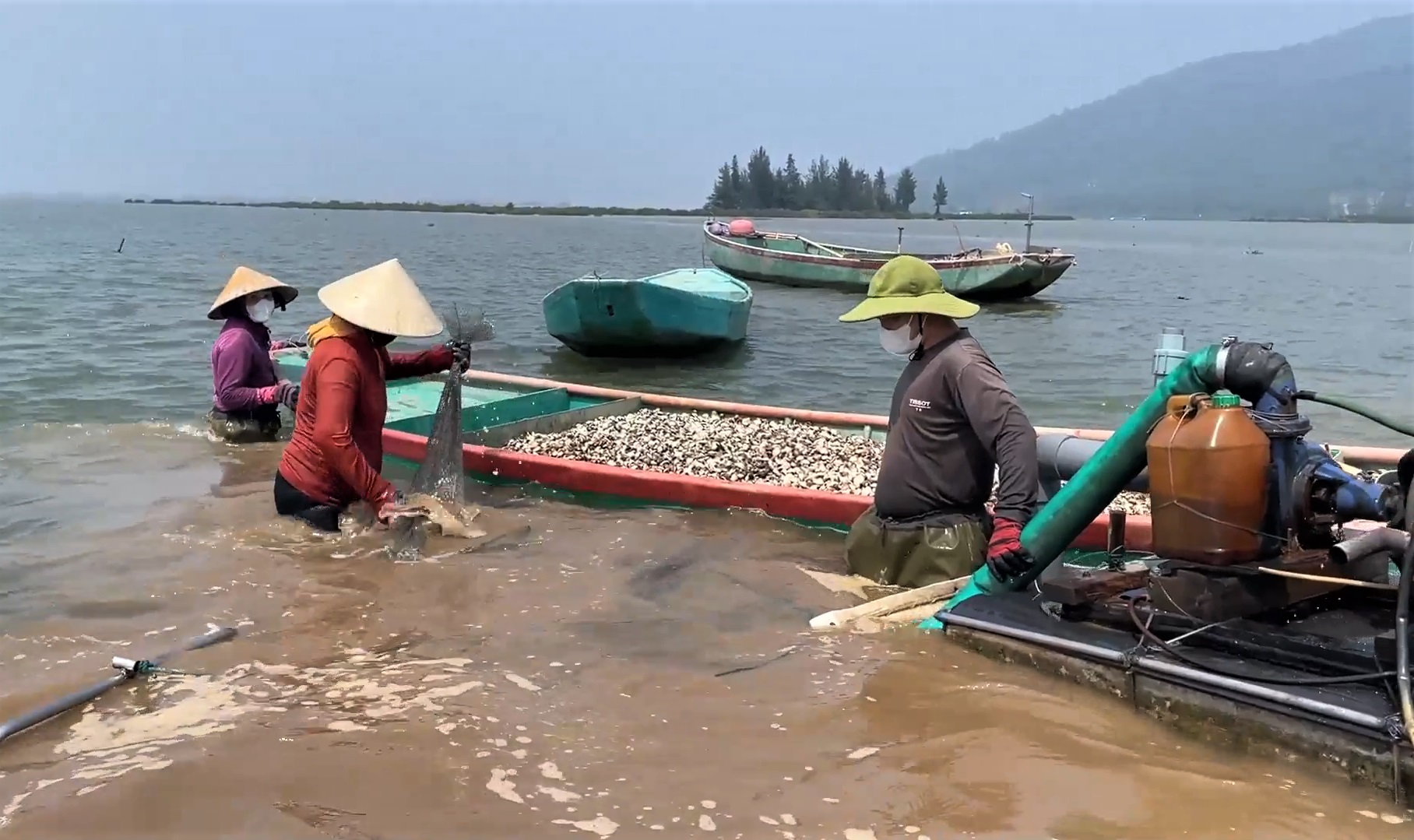 Mở hướng phát triển mới cho nuôi trồng thủy sản vùng Cửa Sót