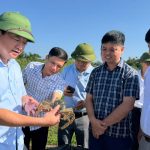 Lãnh đạo UBND tỉnh Hà Tĩnh kiểm tra đánh giá hiệu quả mô hình khuyến nông trên địa bàn tỉnh
