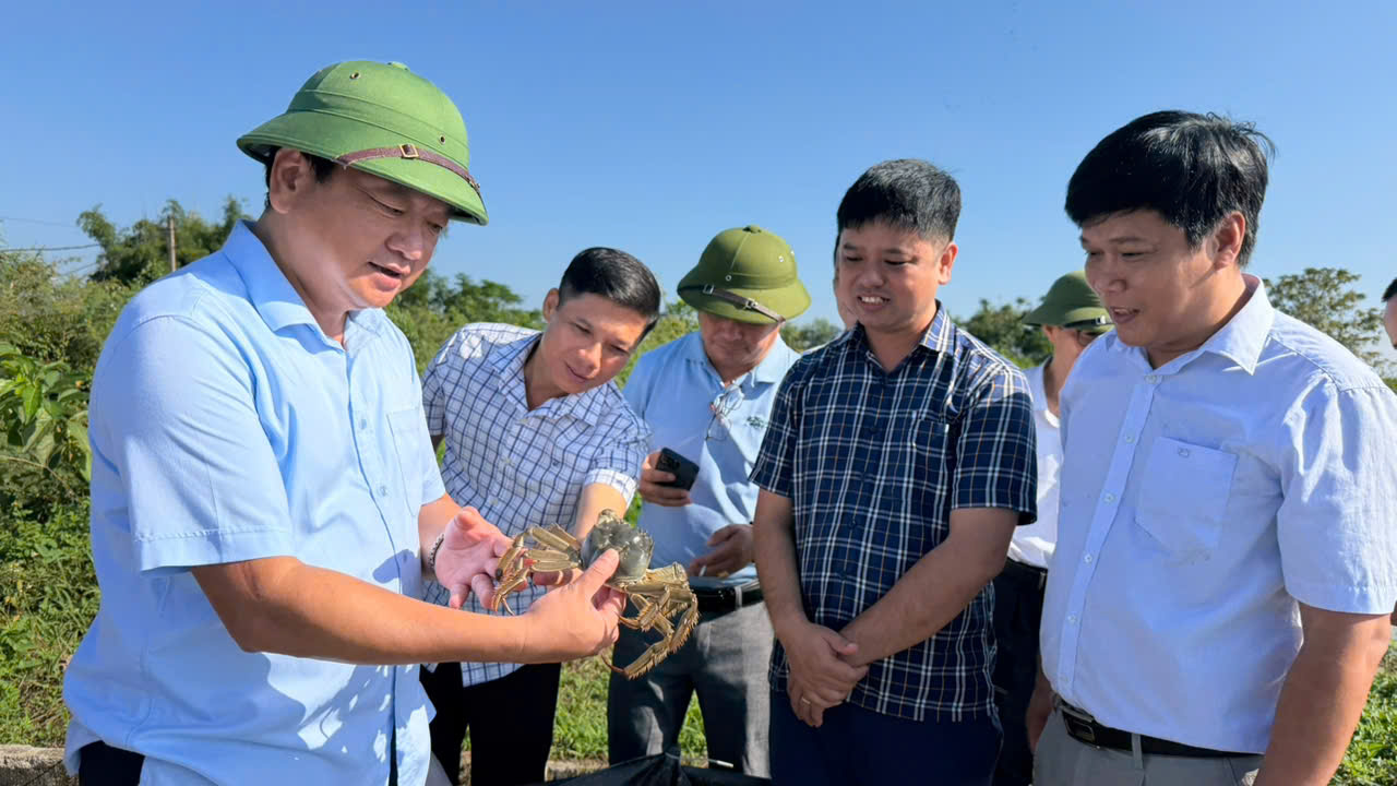 Lãnh đạo UBND tỉnh Hà Tĩnh kiểm tra đánh giá hiệu quả mô hình khuyến nông trên địa bàn tỉnh