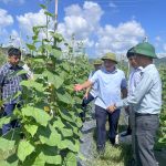 Lãnh đạo UBND tỉnh Hà Tĩnh kiểm tra đánh giá hiệu quả mô hình khuyến nông trên địa bàn tỉnh