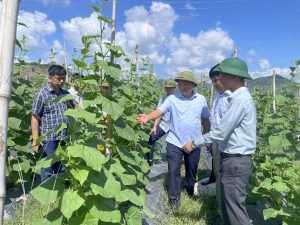 Lãnh đạo UBND tỉnh Hà Tĩnh kiểm tra đánh giá hiệu quả mô hình khuyến nông trên địa bàn tỉnh
