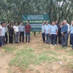 Tập huấn, đào tạo, huấn luyện nông dân tại hiện trường  “Kỹ thuật sản xuất giống, trồng và chăm sóc cây bưởi Phúc Trạch”   