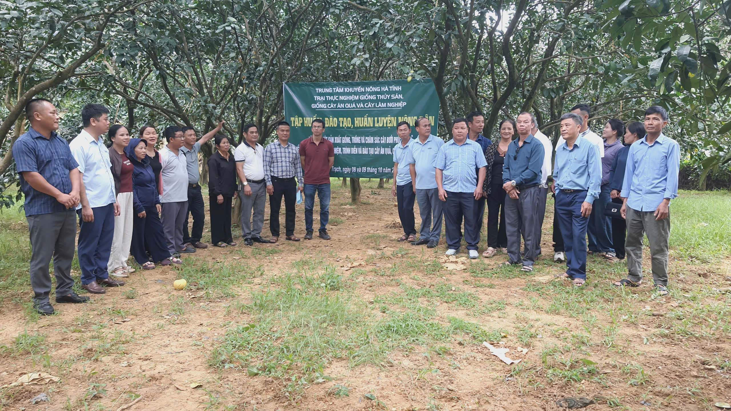 Tập huấn, đào tạo, huấn luyện nông dân tại hiện trường  “Kỹ thuật sản xuất giống, trồng và chăm sóc cây bưởi Phúc Trạch”   