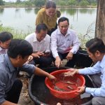 Mở hướng làm giàu từ nuôi tôm càng xanh theo tiêu chuẩn VietGAP