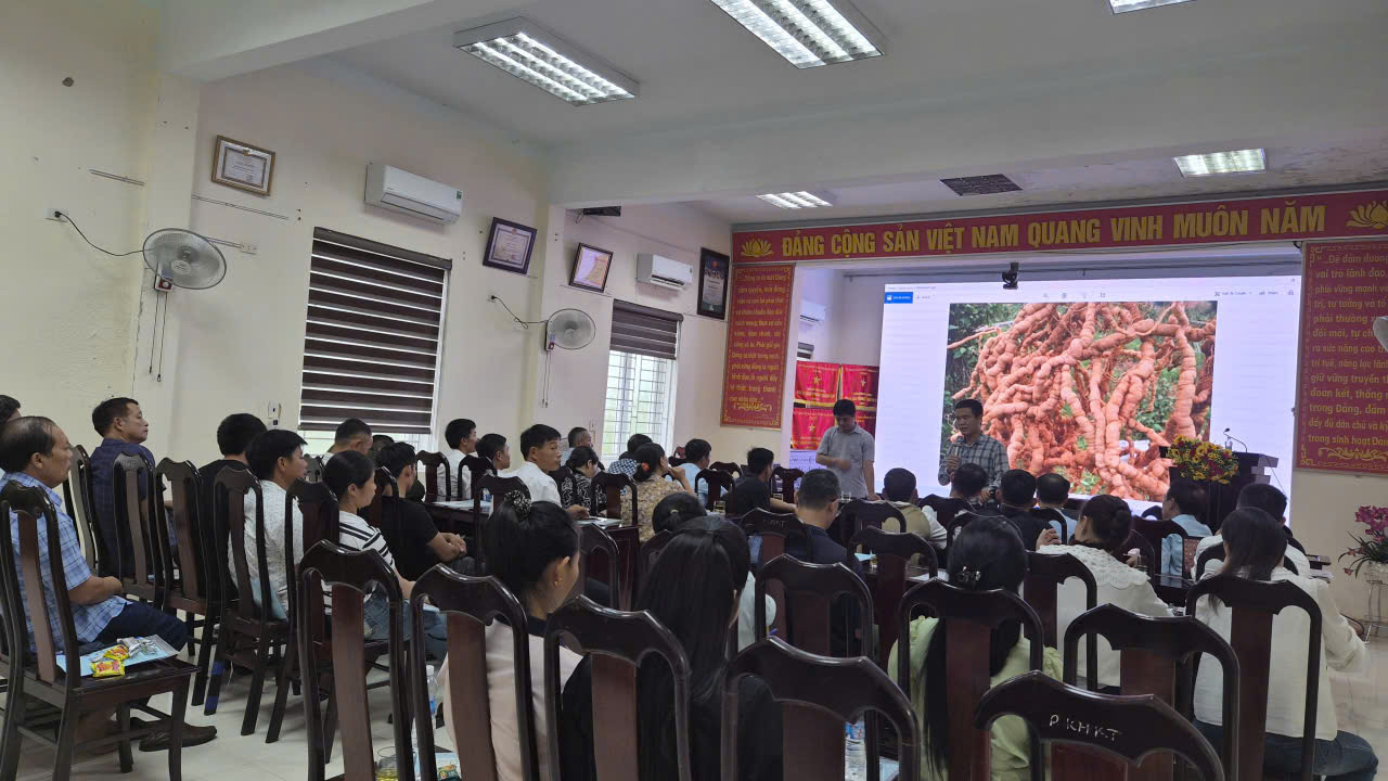 Tập huấn kỹ thuật trồng, chăm sóc và trồng cây Ba kích tím